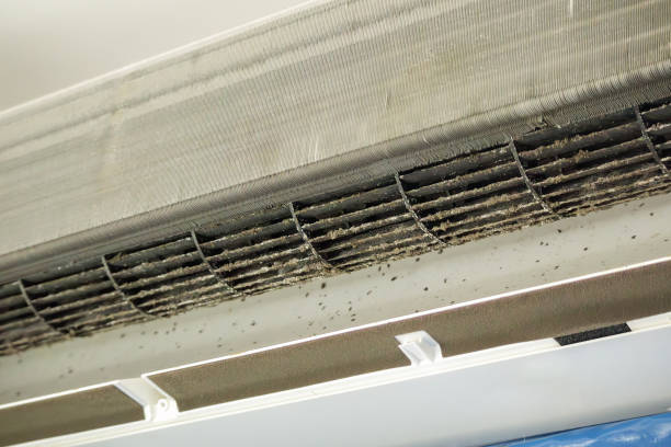 Best Dryer Vent Cleaning Services  in Friend, NE